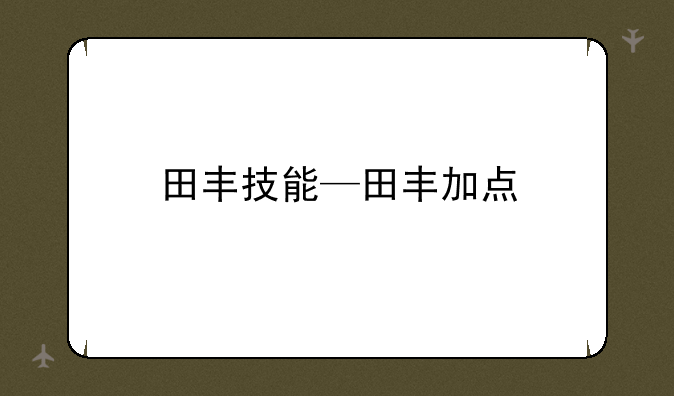 田丰技能—田丰加点