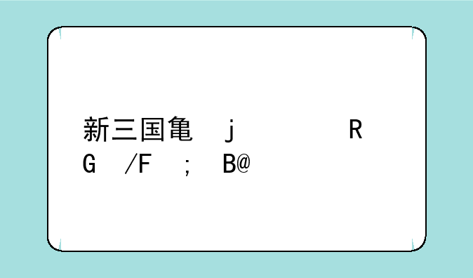 新三国争霸__新三国争霸单机版
