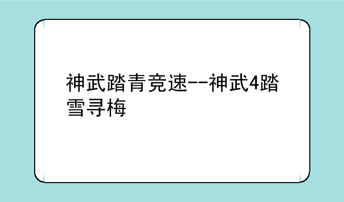 神武踏青竞速--神武4踏雪寻梅
