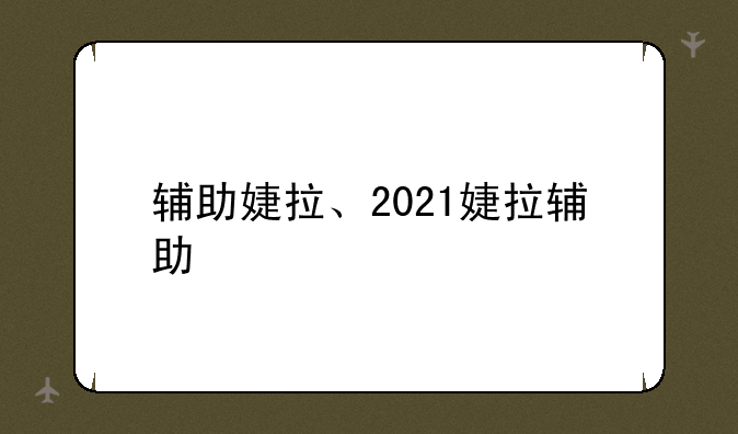 辅助婕拉、2021婕拉辅助