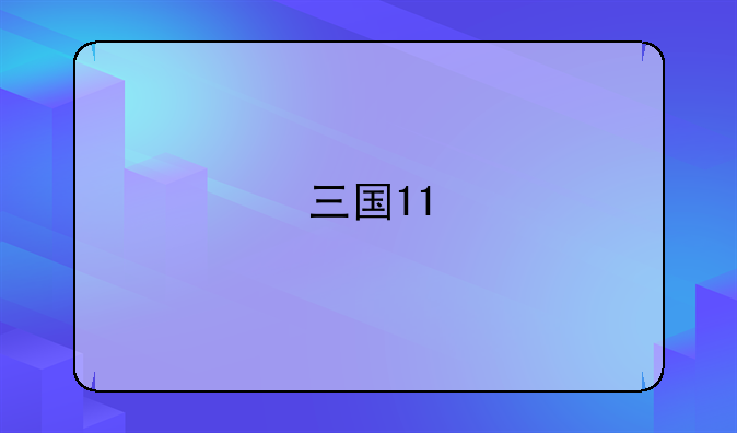 三国11