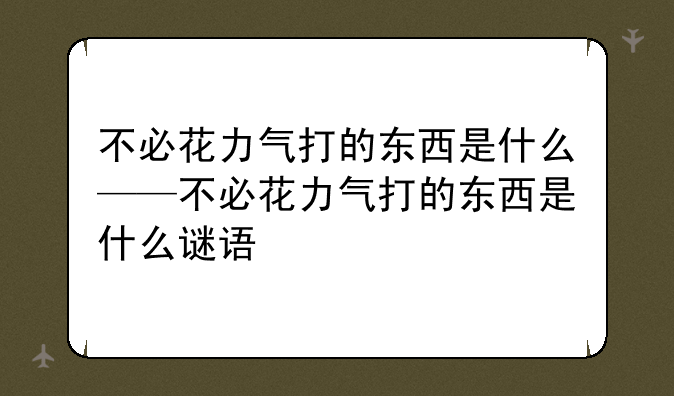 不必花力气打的东西是什么——不必花力气打的东西是什么谜语
