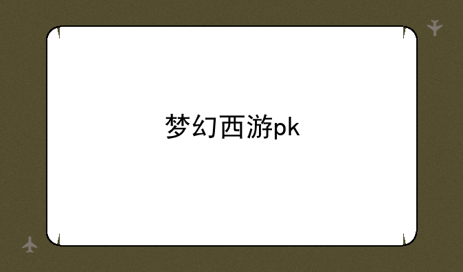 梦幻西游pk