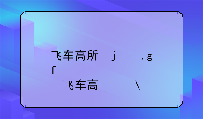 飞车高手辅助;飞车辅助gin