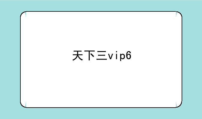 天下三vip6