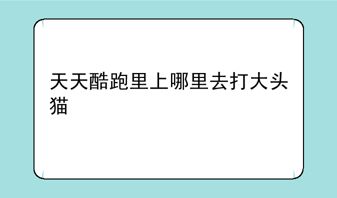 天天酷跑里上哪里去打大头猫