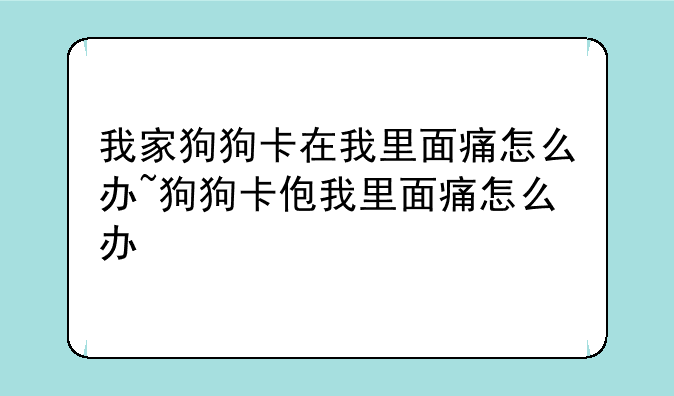 我家狗狗卡在我里面痛怎么办~狗狗卡住我了