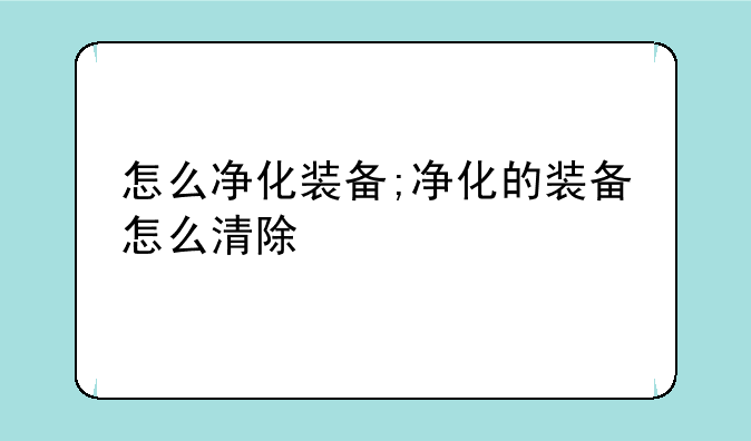 怎么净化装备;净化的装备怎么清除