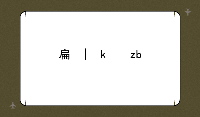 手机skype